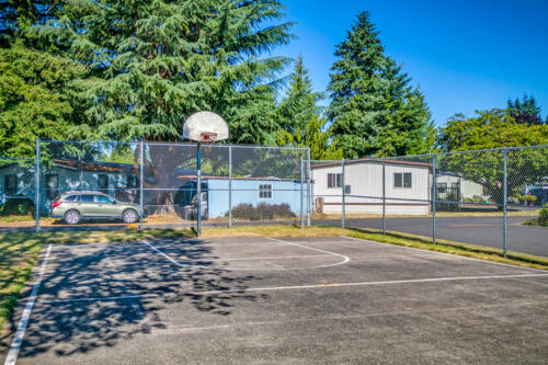 Country Manor Basketball Court